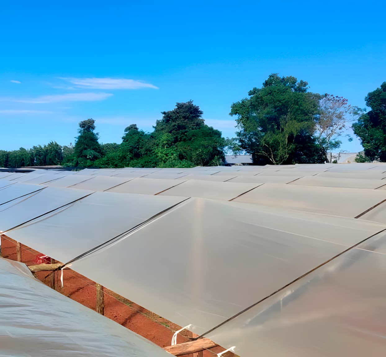 Mantas para Cultivo